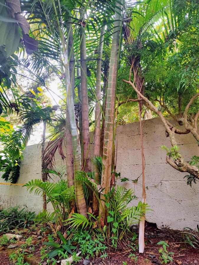 Gogonuts Hostel Varkala Exterior foto